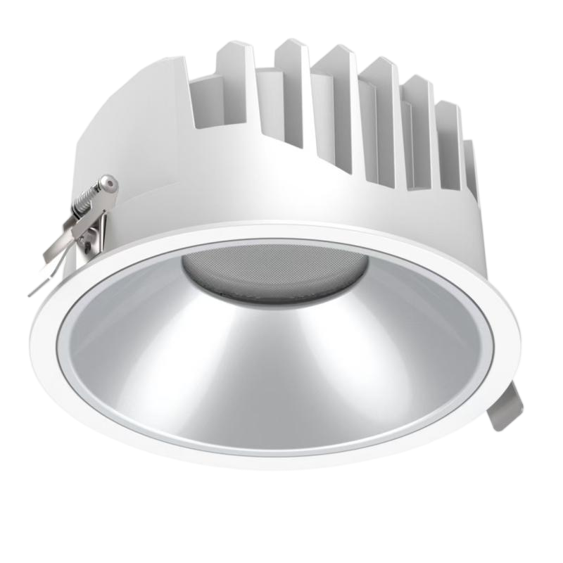 Down Light 