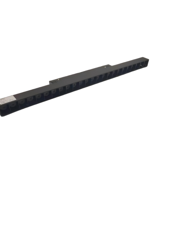 Magnetic Light