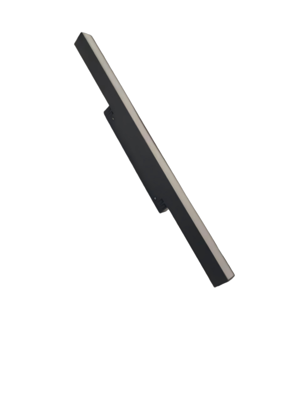 Magnetic Light